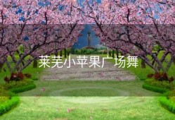 莱芜小苹果广场舞