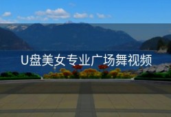 U盘美女专业广场舞视频