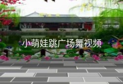 小萌娃跳广场舞视频