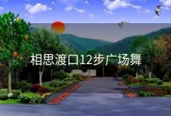 相思渡口12步广场舞