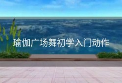 瑜伽广场舞初学入门动作