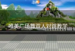 唯美广场舞双人对跳教学