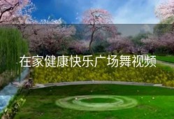 在家健康快乐广场舞视频