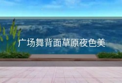 广场舞背面草原夜色美