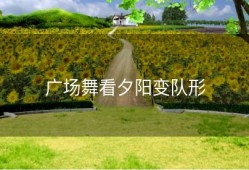 广场舞看夕阳变队形