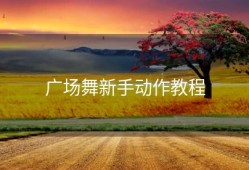 广场舞新手动作教程