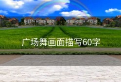广场舞画面描写60字