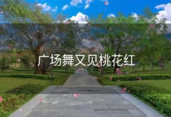 广场舞又见桃花红