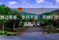 舞动青春，岁月不居：阿姨们的广场舞风采