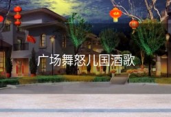 广场舞怒儿国酒歌