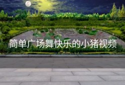 简单广场舞快乐的小猪视频