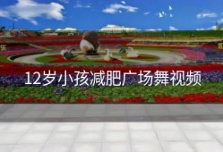 12岁小孩减肥广场舞视频