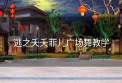 逃之夭夭菲儿广场舞教学