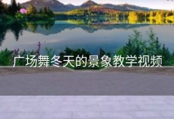 广场舞冬天的景象教学视频