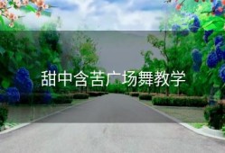 甜中含苦广场舞教学