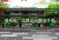 播电视广场舞梁祝舞曲下载