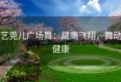 艺莞儿广场舞：藏鹰飞翔，舞动健康