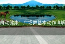 舞动健康：广场舞基本动作详解