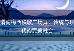 渭南梅西秧歌广场舞：传统与现代的完美融合