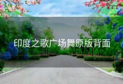 印度之歌广场舞原版背面