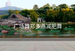 广场舞郑多燕减肥舞