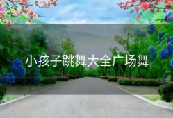 小孩子跳舞大全广场舞