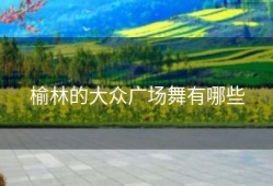 榆林的大众广场舞有哪些