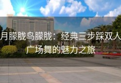 月朦胧鸟朦胧：经典三步踩双人广场舞的魅力之旅