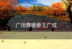 广场舞暖春王广成