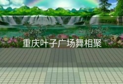 重庆叶子广场舞相聚