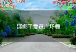 娜娜子爱逗广场舞