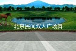 北京民间双人广场舞