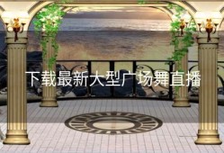 下载最新大型广场舞直播