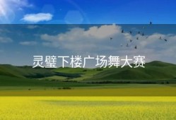 灵璧下楼广场舞大赛