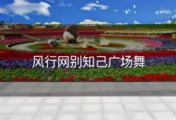风行网别知己广场舞