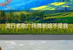 流行老歌广场舞新娘不是我