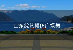 山东综艺模仿广场舞