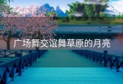 广场舞交谊舞草原的月亮