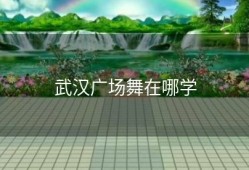武汉广场舞在哪学