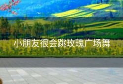 小朋友很会跳玫瑰广场舞