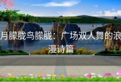 月朦胧鸟朦胧：广场双人舞的浪漫诗篇
