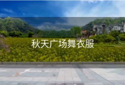 秋天广场舞衣服