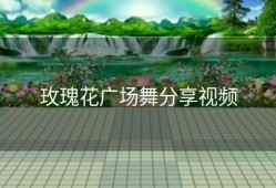 玫瑰花广场舞分享视频