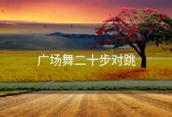 广场舞二十步对跳