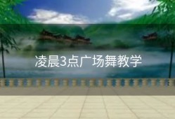 凌晨3点广场舞教学