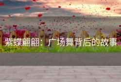 紫蝶翩翩：广场舞背后的故事