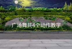 广场舞共4个动作教学