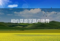 相约草原学跳广场舞