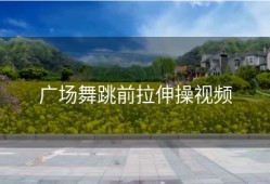 广场舞跳前拉伸操视频