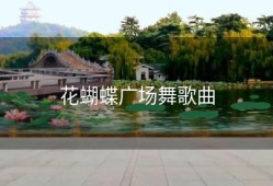 花蝴蝶广场舞歌曲